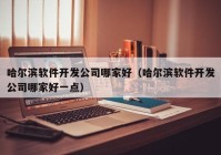 哈尔滨软件开发公司哪家好（哈尔滨软件开发公司哪家好一点）