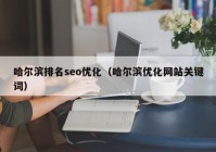 哈尔滨排名seo优化（哈尔滨优化网站关键词）