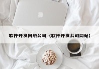 软件开发网络公司（软件开发公司网站）