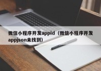 微信小程序开发appid（微信小程序开发appjson未找到）