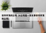 软件开发的公司（A公司是一家从事软件开发的公司）