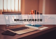 铜陵seo优化的简单介绍