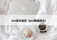 seo优化站长（seo新站优化）