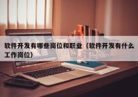 软件开发有哪些岗位和职业（软件开发有什么工作岗位）