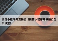 微信小程序开发接口（微信小程序开发接口怎么设置）