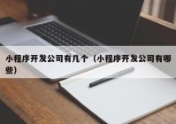 小程序开发公司有几个（小程序开发公司有哪些）