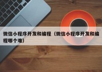 微信小程序开发和编程（微信小程序开发和编程哪个难）